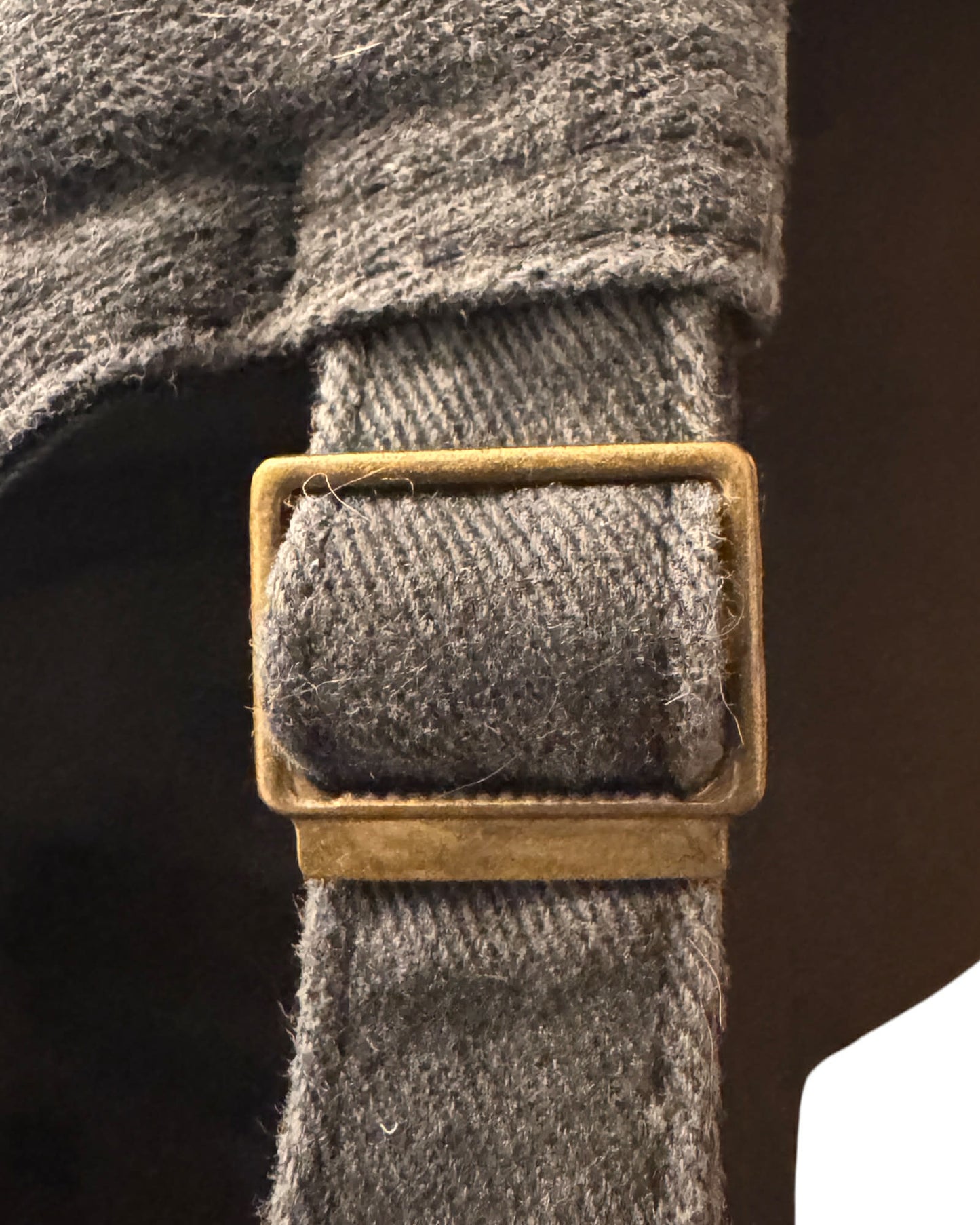 Just a Cute Dog Hat (Embroidered)